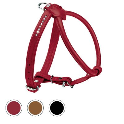 ハンター 犬用 ハーネス ヒロ コンフォート M 旧xxlサイズ ジャーマンペット オンラインショップ ハンター 犬用 ハーネス ヒロ コンフォート M 旧xxlサイズ ジャーマンペット オンラインショップ