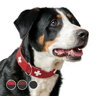ハンター 犬用 首輪 スイス 70 | ジャーマンペット オンラインショップ
