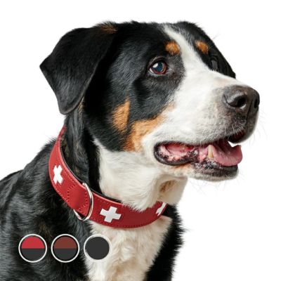 アルコソ 犬用 コートキング スタンダード 大型犬向け(99M715