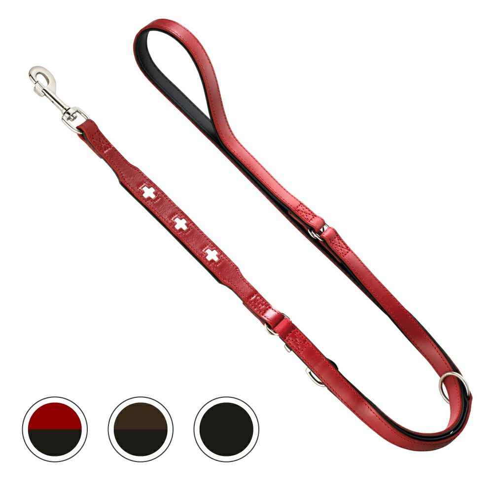 ハンター 犬用 リード コンビニエンス リフレクト グロー 20/120