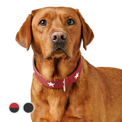 ハンター 犬用 首輪 スイス 37 | ジャーマンペット オンラインショップ
