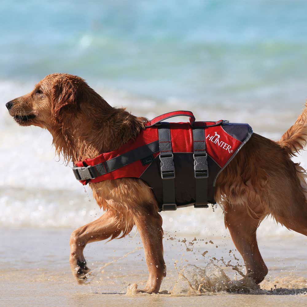 ハンター 犬用 ライフジャケット モス S ジャーマンペット オンラインショップ
