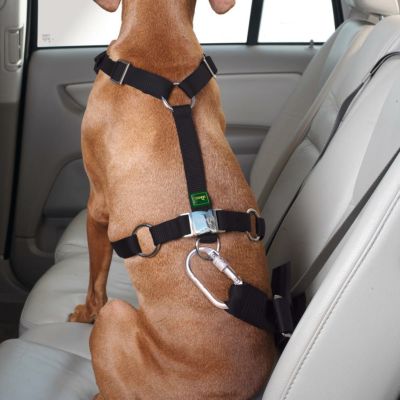 国内在庫にて販売終了】ハンター 犬用 シートベルト イージー