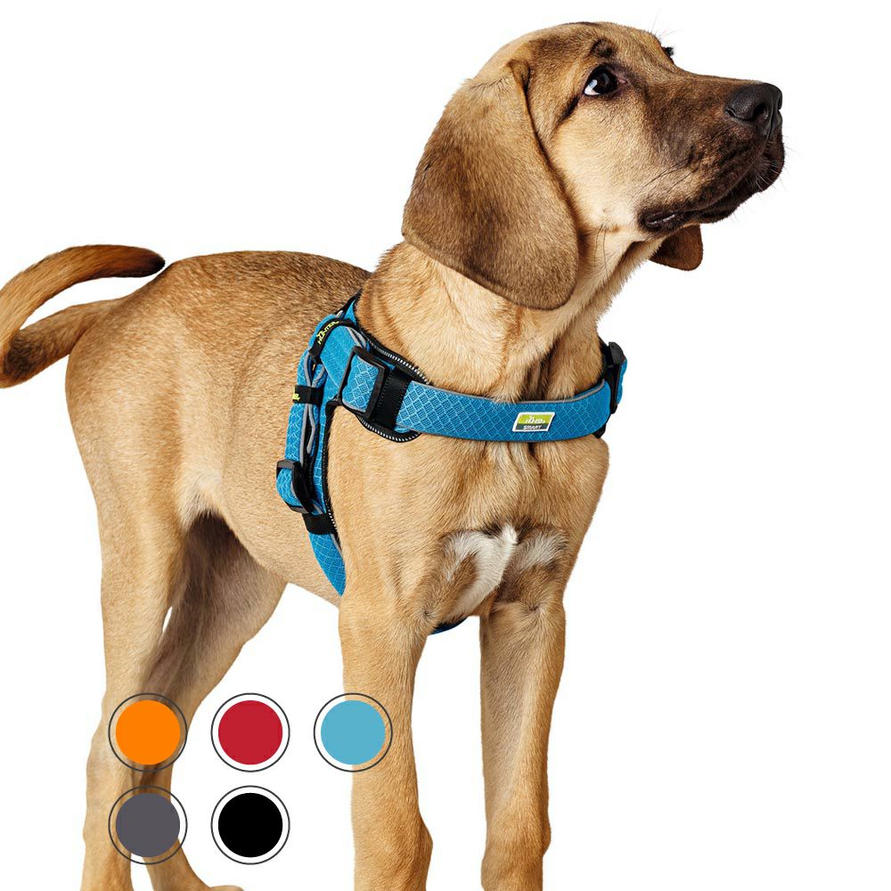 ハンター 犬用 カラー エルクレザー ヘラジカ革 カナディアン 60 一部製造終了 中型犬 大型犬 本革 ドイツ製 Kokunai Seiki Hin 首輪 Padelnostro It ハンター 犬用 カラー エルクレザー ヘラジカ革 カナディアン 60 一部製造終了 中型犬 大型犬 本革 ドイツ製 Kokunai Seiki Hin 首輪 Padelnostro It