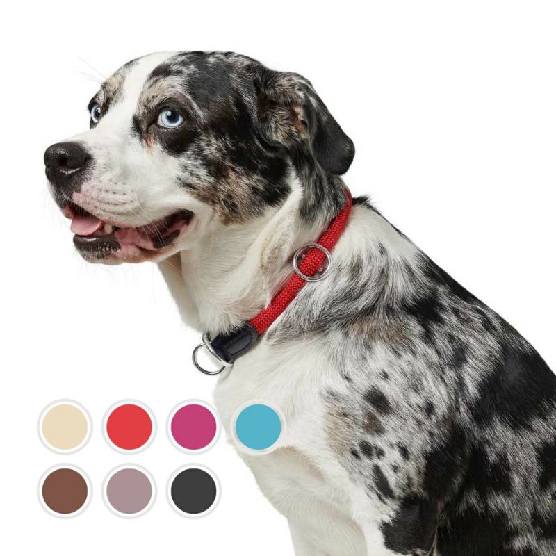 ●送料無料●ゴム付きの犬のトレーニング カラーヒント ピット ピンチカラーペット用品 LP-025 