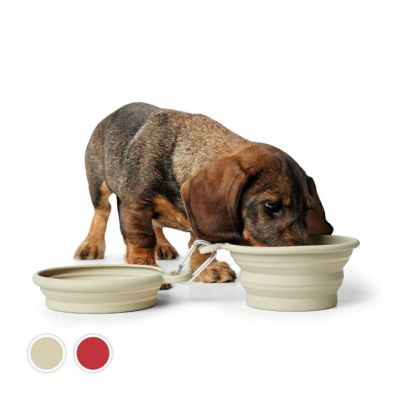 楽天市場】犬用 ボール 知育トイ トリーツボール Planet Dog (L