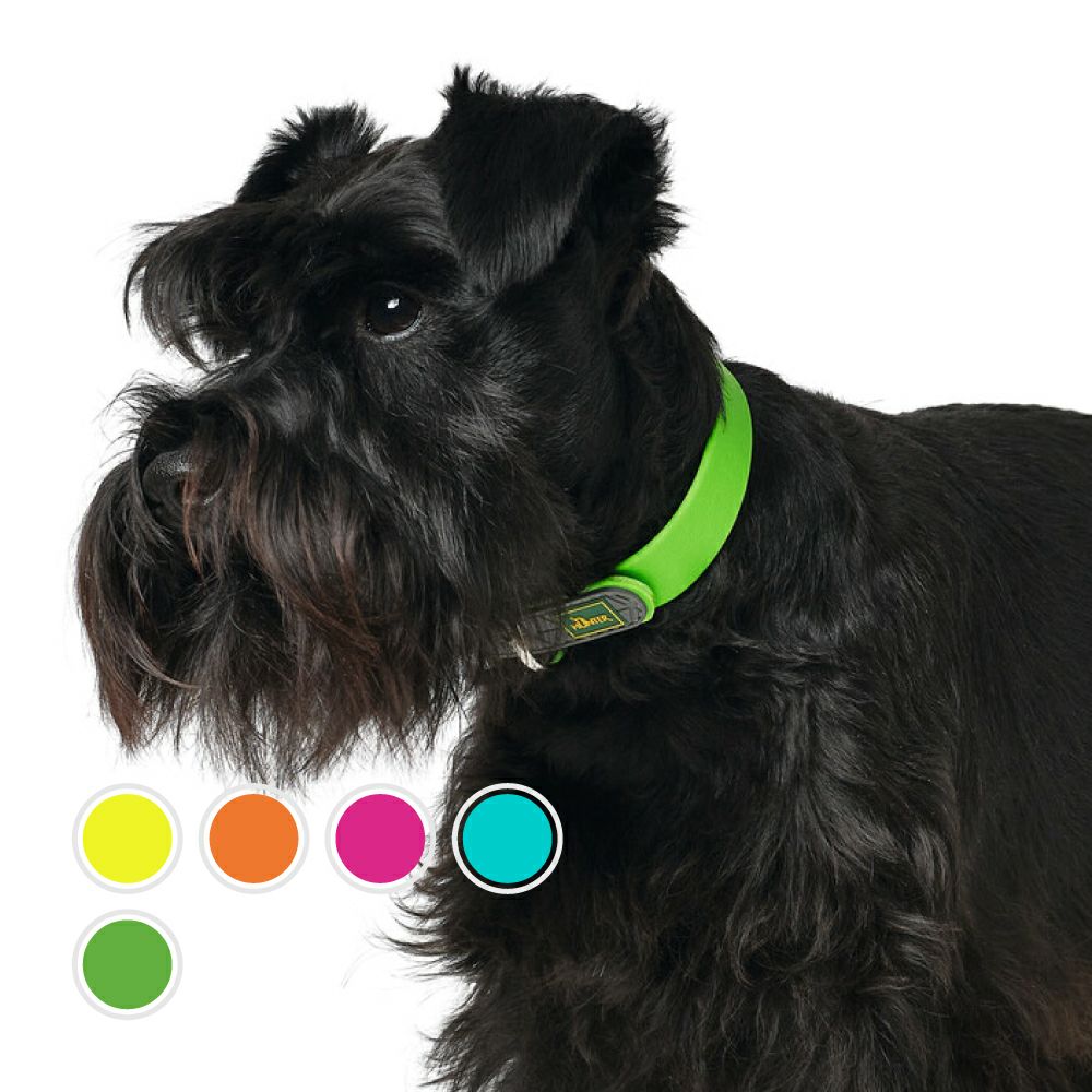 ハンター 犬用 首輪 コンビニエンス コンフォート 55/M-L | ジャーマン