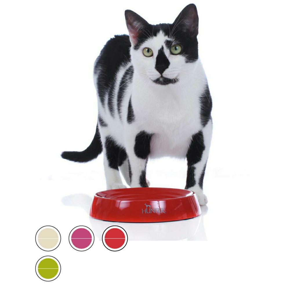 犬だけじゃない！HUNTERの猫グッズ - ジャーマンペット