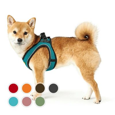 ハンター 犬用 ハーネス カナディアン アップ ラウンド＆ソフト 32-38