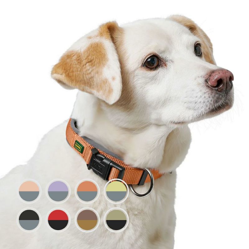 NEIGHBORHOOD グレー犬用首輪 DOG COLLAR NARROW NEIGHBORHOOD グレー