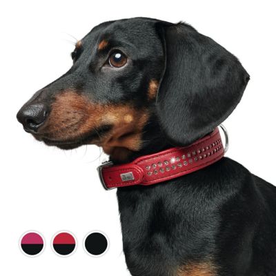 ハンター　犬用リード　スイス　18/100 レッド　新品未使用長さ100cm幅18mm