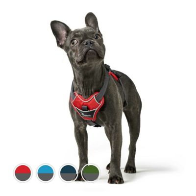 ハンター 犬用 ハーネス レーシング L-XL | ジャーマンペット