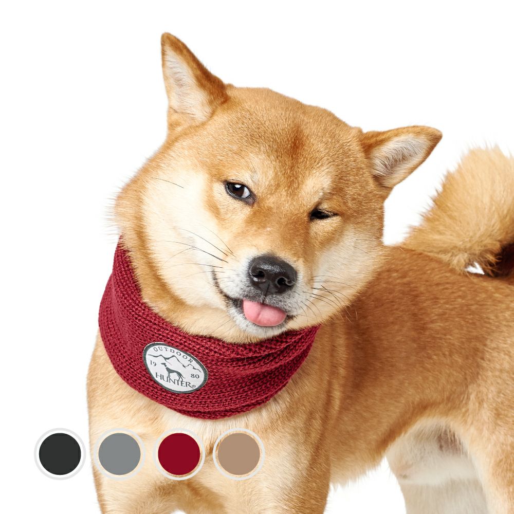 ハンター 犬用 スカーフ ナンシー ジャーマンペット オンラインショップ