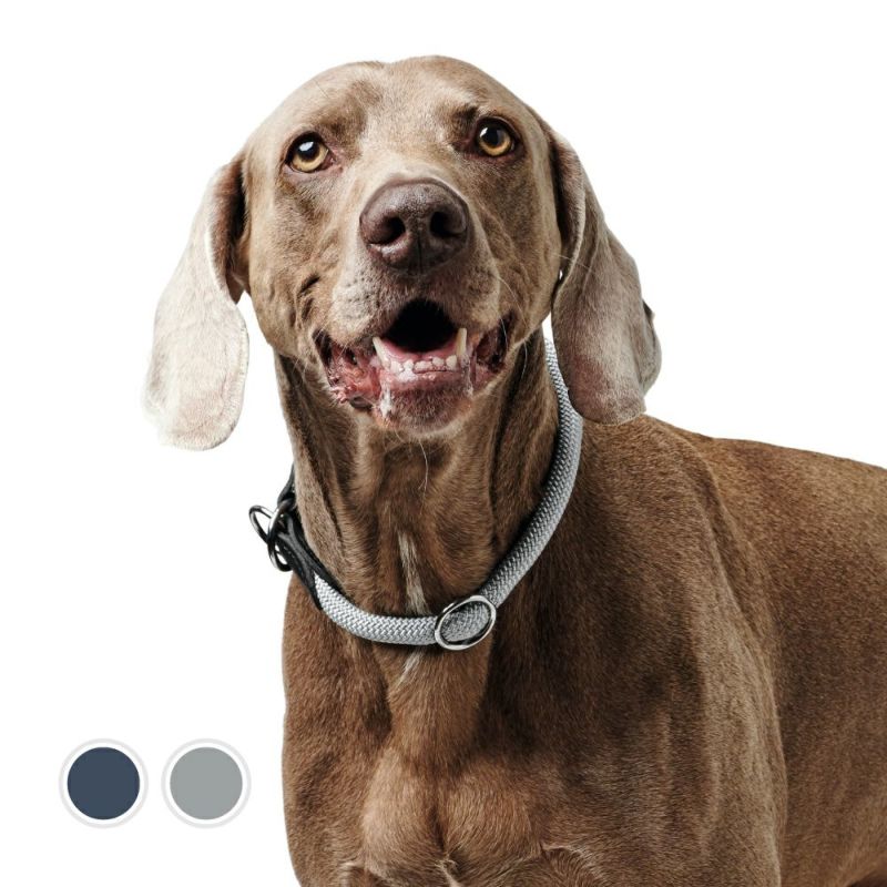 Hunter 首輪 Hunter 首輪 マリア 55/M dove blue/tan