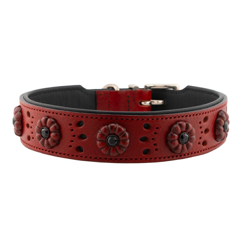 ハンター 犬用 首輪 ダイアモンド プチ 30 | ジャーマンペット