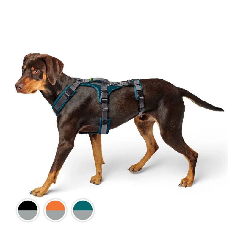 ハンター 犬用 ハーネス 脱走防止ハーネス マルドン 53-71/M