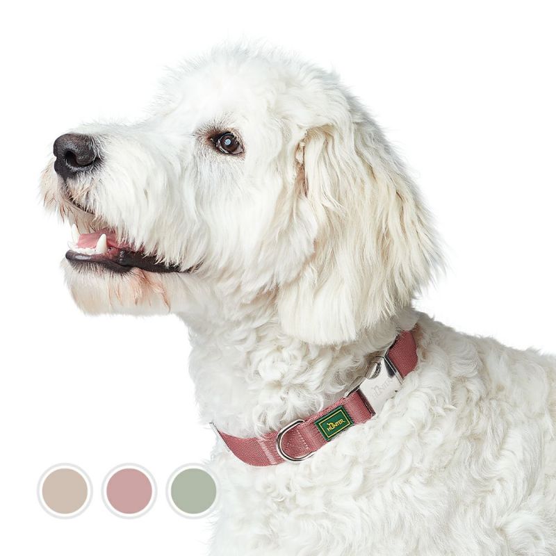 非課税ハンターhunterフリースタイル　レトリーバー260cm &カラー 犬