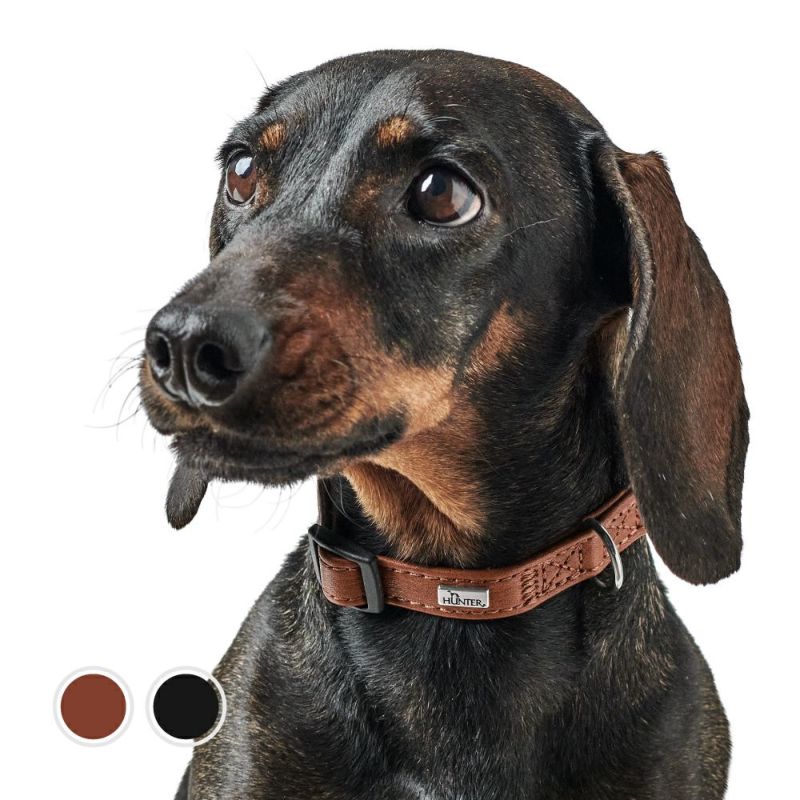 SHU Ｉcanシリーズ犬 9784416925836-HP-768x683.jpg
