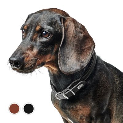 ハンター 犬用 首輪 カナディアン アップ ラウンド＆ソフト 45/S-M | ジャーマンペット オンラインショップ