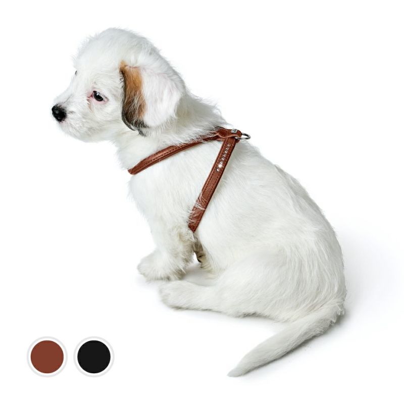 ハンター 犬用 ハーネス カナディアン アップ ラウンド＆ソフト 45-51/S/2 ジャーマンペット オンラインショップ