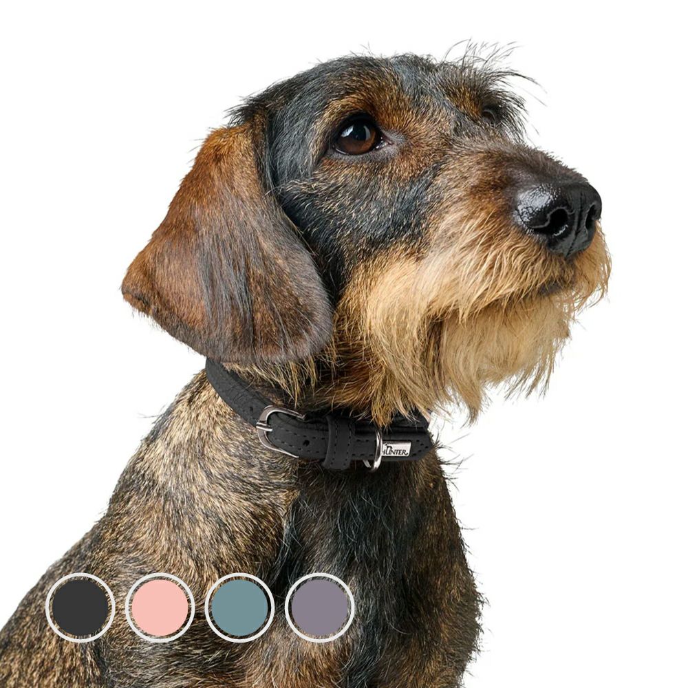 ハンター 犬用 首輪 ソーホー ミニ 24/XXS-XS | ジャーマンペット