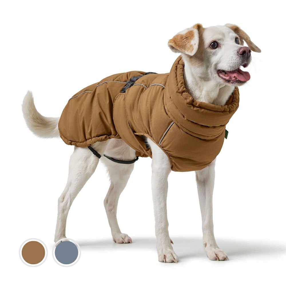 ハンター 犬用 服 ニット オーゼンセ 35 + 帽子セット | ジャーマン