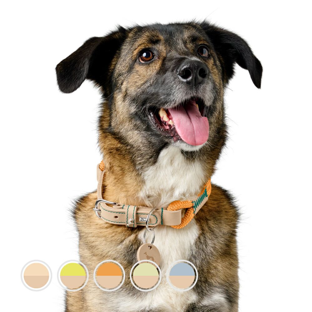 超希少】エルメス犬用バンダナ mina様専用 エルメス ペット用首輪(^-^)