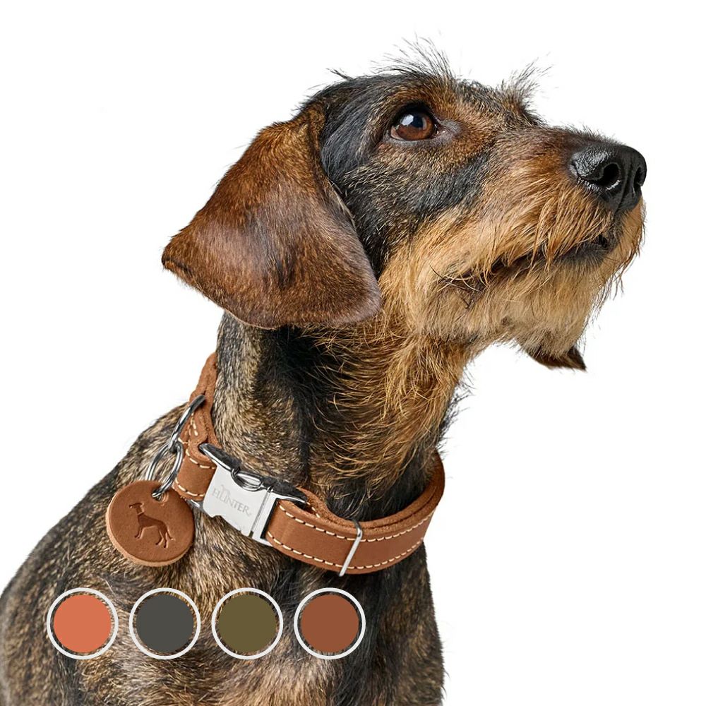 ハンター 犬用 首輪 マリア 50/S-M | ジャーマンペット オンラインショップ